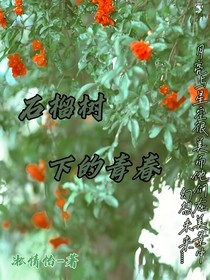院中的石榴树