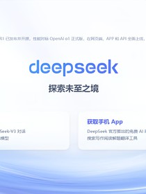 DeepSeek的日常
