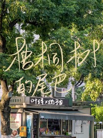 梧桐树的尾巴