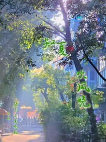 知夏吹风晓