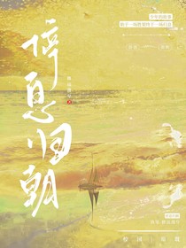 停息归朝