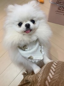 身份能偷走，精神病呢？