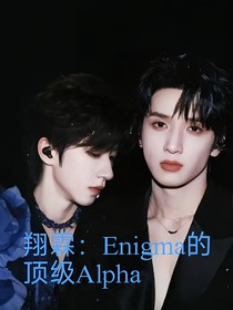 翔霖：Enigma的顶级Alpha