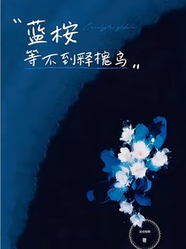 藍桉等不到釋懷鳥（3）