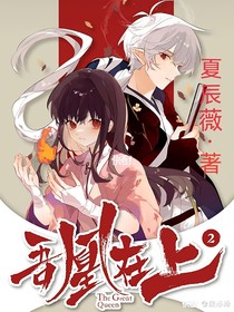吾凰在上Zl-d378