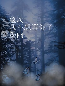 这次我不想等你了