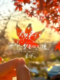 综影：林深见鹿