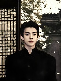 EXO：春夜纪元