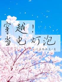 穿越当电灯泡