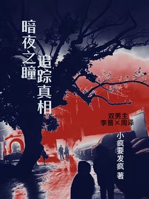 暗夜之瞳之雙男主