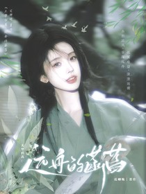 大梦归离：远舟的菡萏