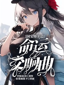 果宝特攻之命运交响曲-d077
