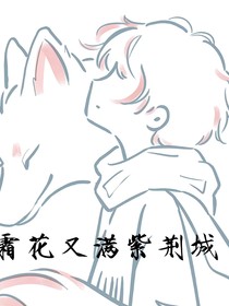 霜花又满紫荆城