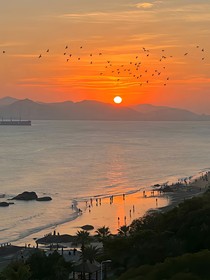 与你同行的成长恋曲