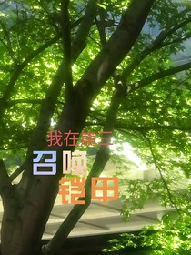 我在崩三召唤铠甲