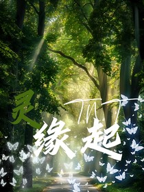 TNT：灵缘起