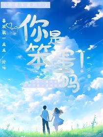 你是笨蛋吗！