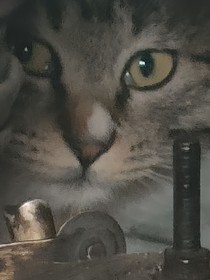 靈魂出竅之追兇