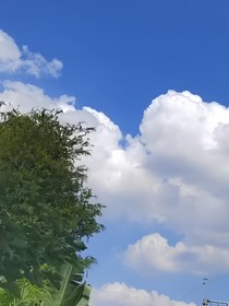 林月上学恋爱记