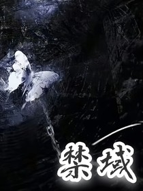 柏康：禁域