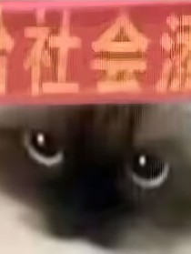 摸鱼短片