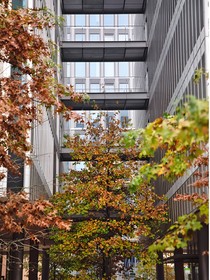 第42号街区