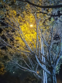 愿在江南与你重逢