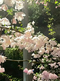 时光中的秘密