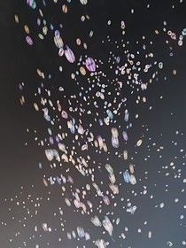 陪你走过这个世界