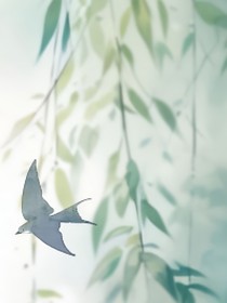 山水阴阳