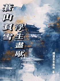 苍山负雪，浮生尽歇