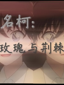 名柯：玫瑰与荆棘