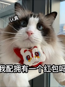 隨便……（想取什么取什么）