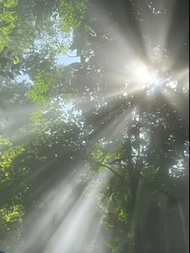 爆裂飛車：學(xué)神大人不好追！