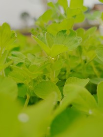 花癡的小心理-d890