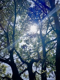 一直一个人直到