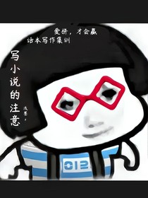 写小说的注意