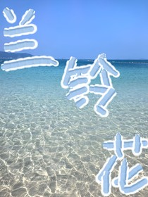 兰铃花