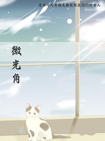 微光角