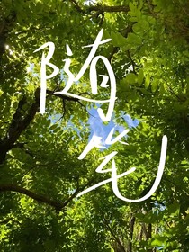 随笔合集（馍一凹喵）