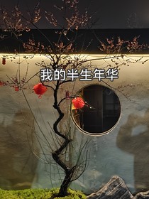 我的半生年華