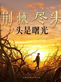 荆棘尽头是曙光