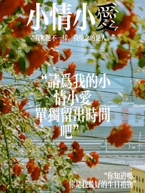小情小爱辛夏