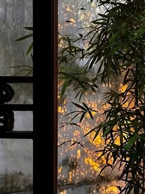 斗龙之龙武梦