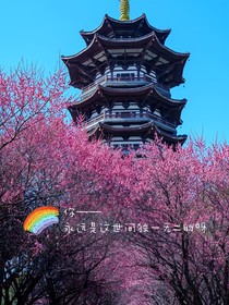 獨一無二——你