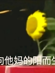 赛尔号：完啦！马甲全都死遁喽