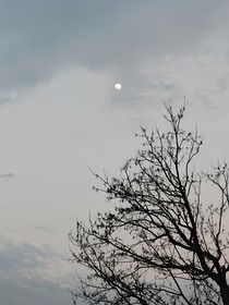 无虞矣