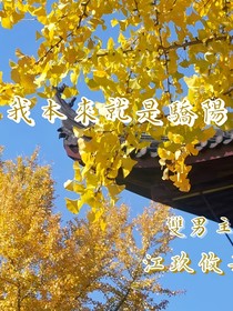 我本就是驕陽