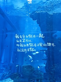 乐竟止戈