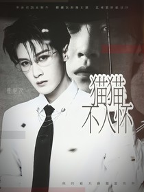 猎罪图鉴2：猫猫不入怀